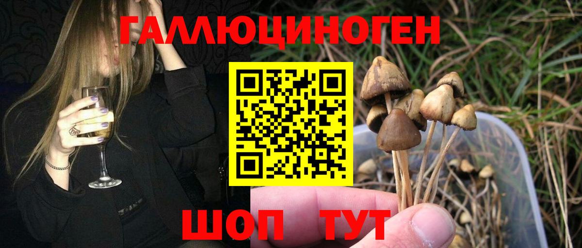 Знаменск  Галлюциногенные грибы ЛСД  Вход с VPN  закладка  Галлюциногенные грибы GOLDEN TEACHER 
